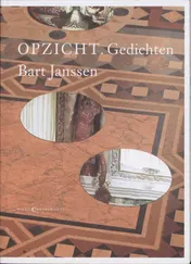Omslag van Opzicht