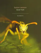 Omslag van Buiten westen