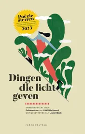 Omslag van Dingen die licht geven