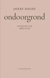 Omslag van Ondoorgrond