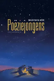 Omslag van Poëziejongens