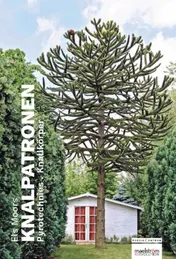 Omslag van Knalpatronen