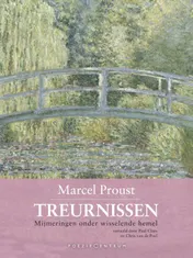 Omslag van Treurnissen