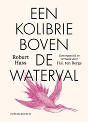 Omslag van Een kolibrie boven de waterval