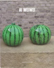Omslag van Ai Weiwei