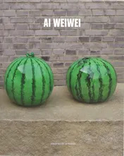 Omslag van Ai Weiwei