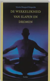 Omslag van De werkelijkheid van slapen en dromen