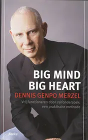 Omslag van Big Mind