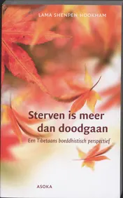 Omslag van Sterven is meer dan doodgaan
