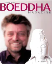 Omslag van Zomer 2011