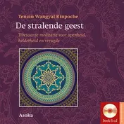 Omslag van De stralende geest