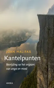 Omslag van Kantelpunten