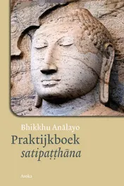 Omslag van Praktijkboek satipatthana