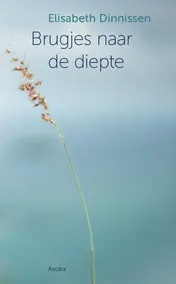 Omslag van Brugjes naar de diepte