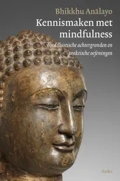 Omslag van Kennismaken met mindfulness