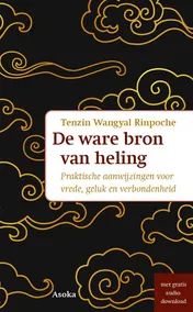 Omslag van De ware bron van heling
