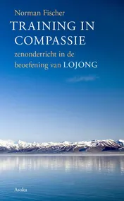 Omslag van Training in compassie