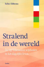 Omslag van Stralend in de wereld
