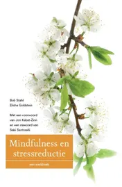 Omslag van Mindfulness en stressreductie
