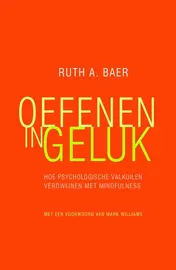 Omslag van Oefenen in geluk