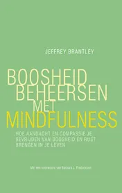 Omslag van Boosheid beheersen met mindfulness