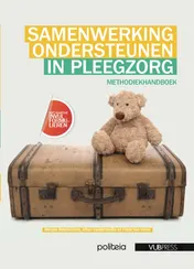Omslag van Samenwerking ondersteunen in pleegzorg