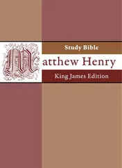 Omslag van Matthew Henry study bible