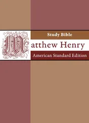 Omslag van Matthew Henry study bible