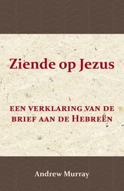 Omslag van Ziende op Jezus