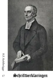 Omslag van Schriftverklaringen 17