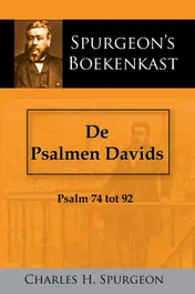 Omslag van De Psalmen Davids 3
