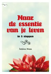 Omslag van Naar de essentie van je leven