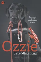 Omslag van Ozzie