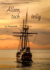 Omslag van Alleen, toch veilig