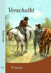 Omslag van Verschalkt