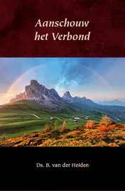 Omslag van Aanschouw het Verbond