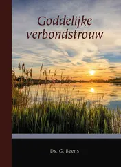 Omslag van Goddelijke verbondstrouw
