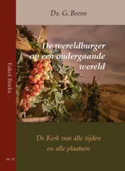 Omslag van De wereldburger op een ondergaande wereld