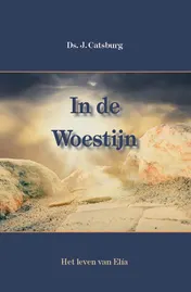 Omslag van In de woestijn
