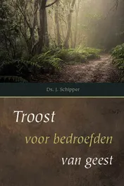 Omslag van Troost voor bedroefden van geest