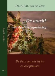 Omslag van De vrucht van de pinksterprediking