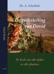 Omslag van De volkstelling van David