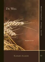Omslag van De weg