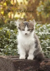 Omslag van Plakboek Moortje