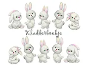 Omslag van Kladderboekje Hangoortje