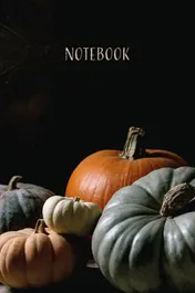 Omslag van Notebook Klabas