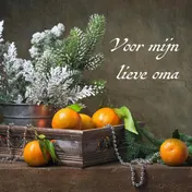 Omslag van Voor mijn lieve oma Hanna