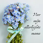 Omslag van Voor mijn allerliefste mama Tamara