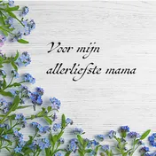 Omslag van Voor mijn allerliefste mama Juliette