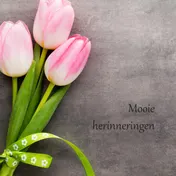 Omslag van Herinneringen Tulp